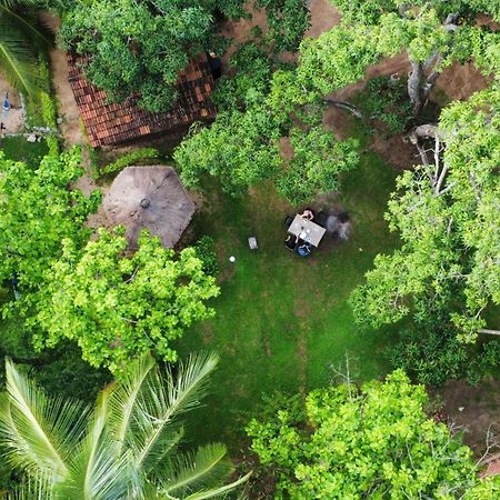 Eco Village Kalundewa ดัมบูลลา ภายนอก รูปภาพ