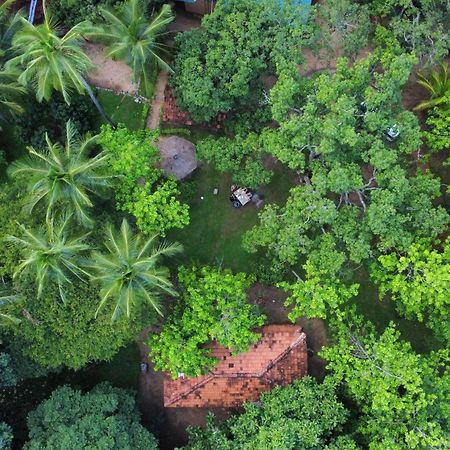 Eco Village Kalundewa ดัมบูลลา ภายนอก รูปภาพ