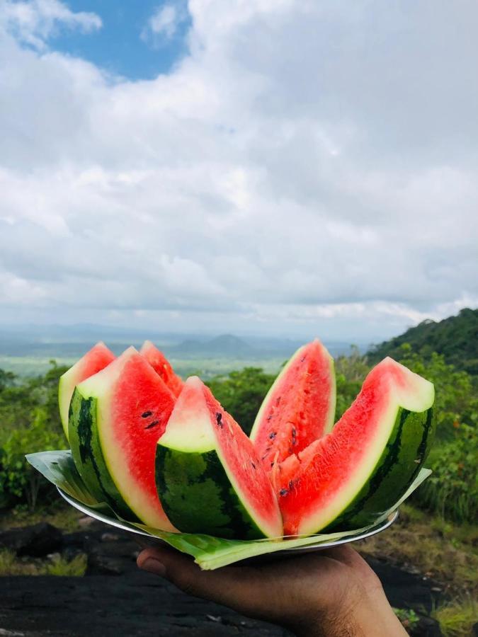 Eco Village Kalundewa ดัมบูลลา ภายนอก รูปภาพ