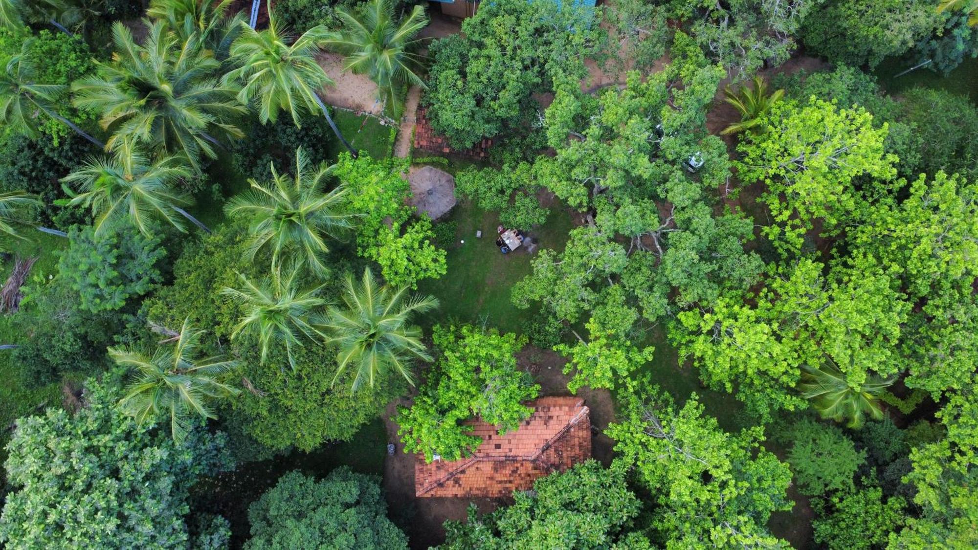 Eco Village Kalundewa ดัมบูลลา ภายนอก รูปภาพ