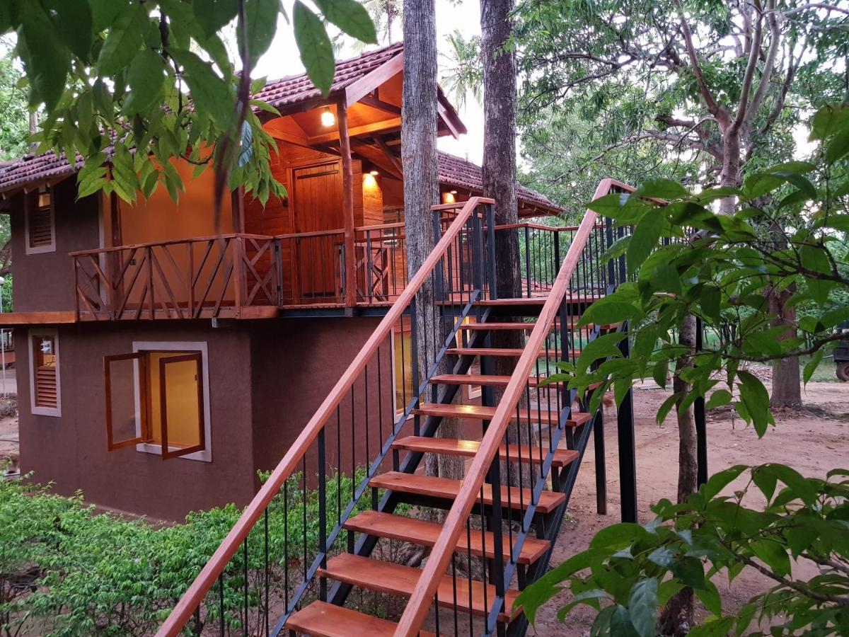 Eco Village Kalundewa ดัมบูลลา ภายนอก รูปภาพ