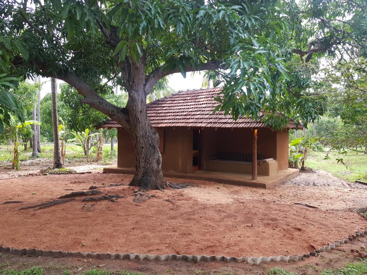 Eco Village Kalundewa ดัมบูลลา ภายนอก รูปภาพ