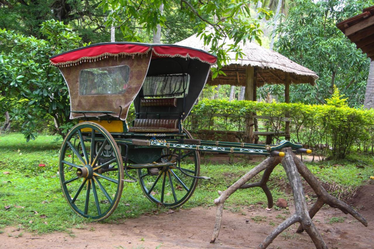 Eco Village Kalundewa ดัมบูลลา ภายนอก รูปภาพ