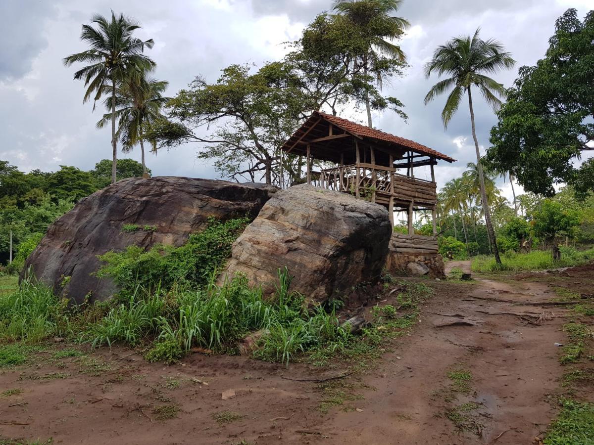 Eco Village Kalundewa ดัมบูลลา ภายนอก รูปภาพ