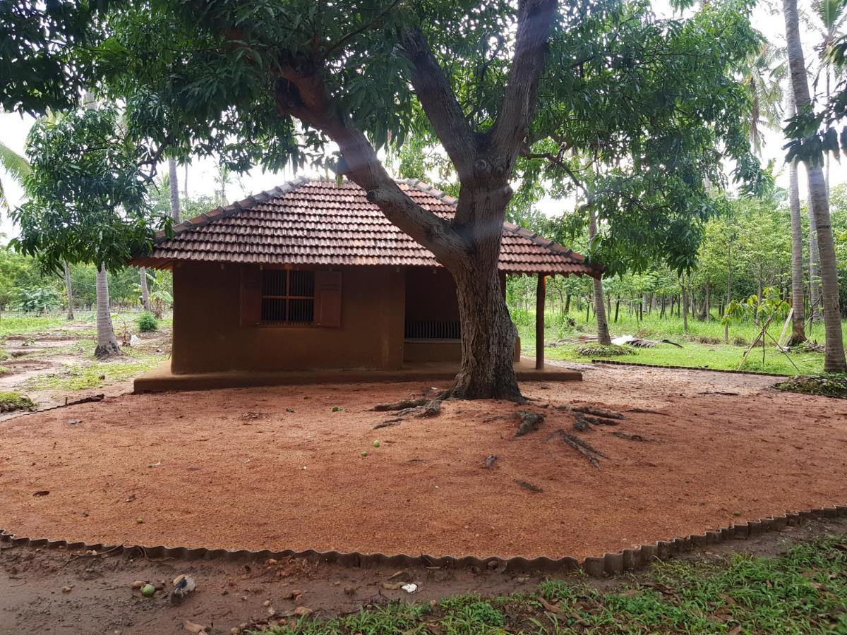 Eco Village Kalundewa ดัมบูลลา ภายนอก รูปภาพ