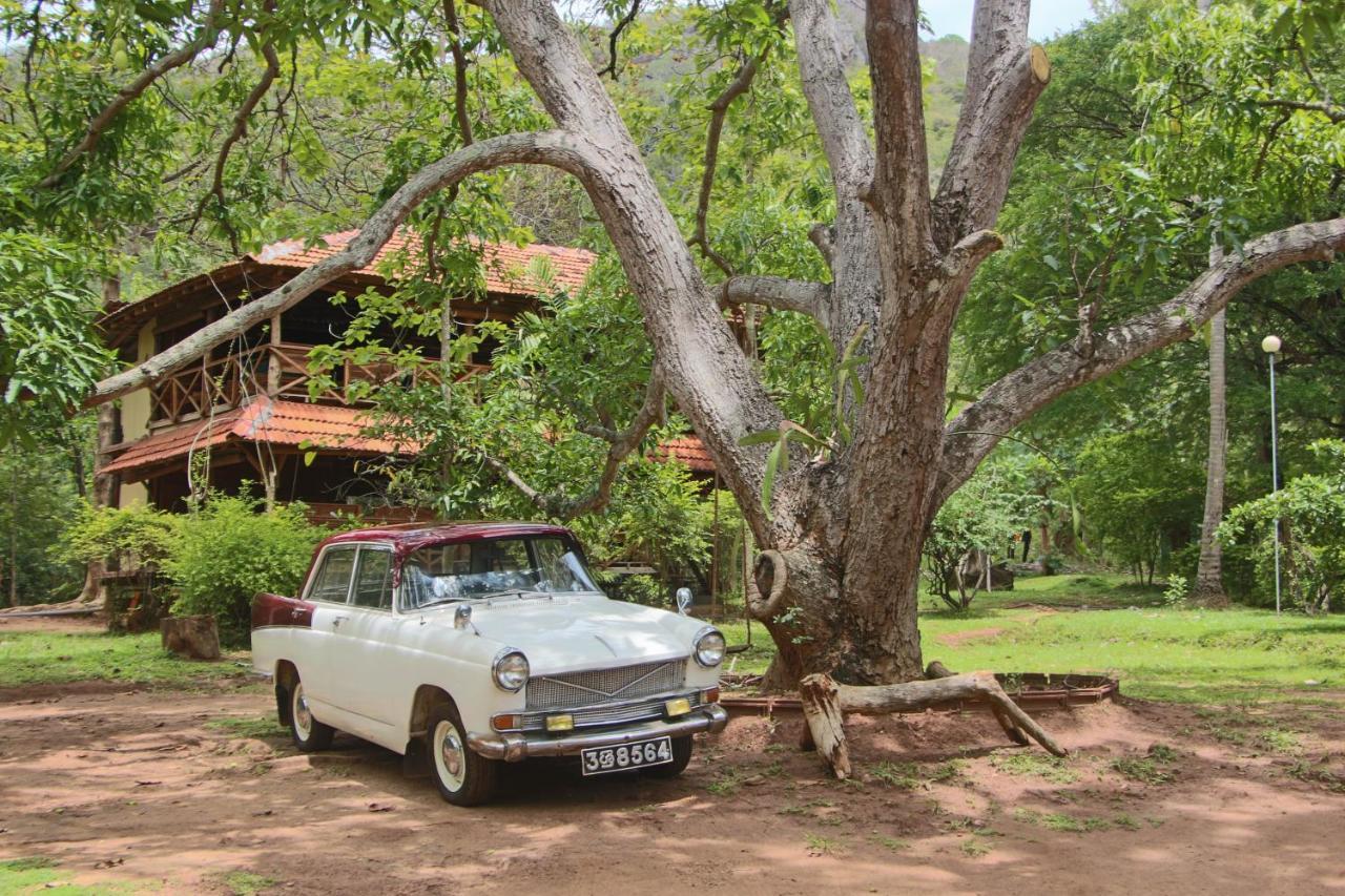 Eco Village Kalundewa ดัมบูลลา ภายนอก รูปภาพ