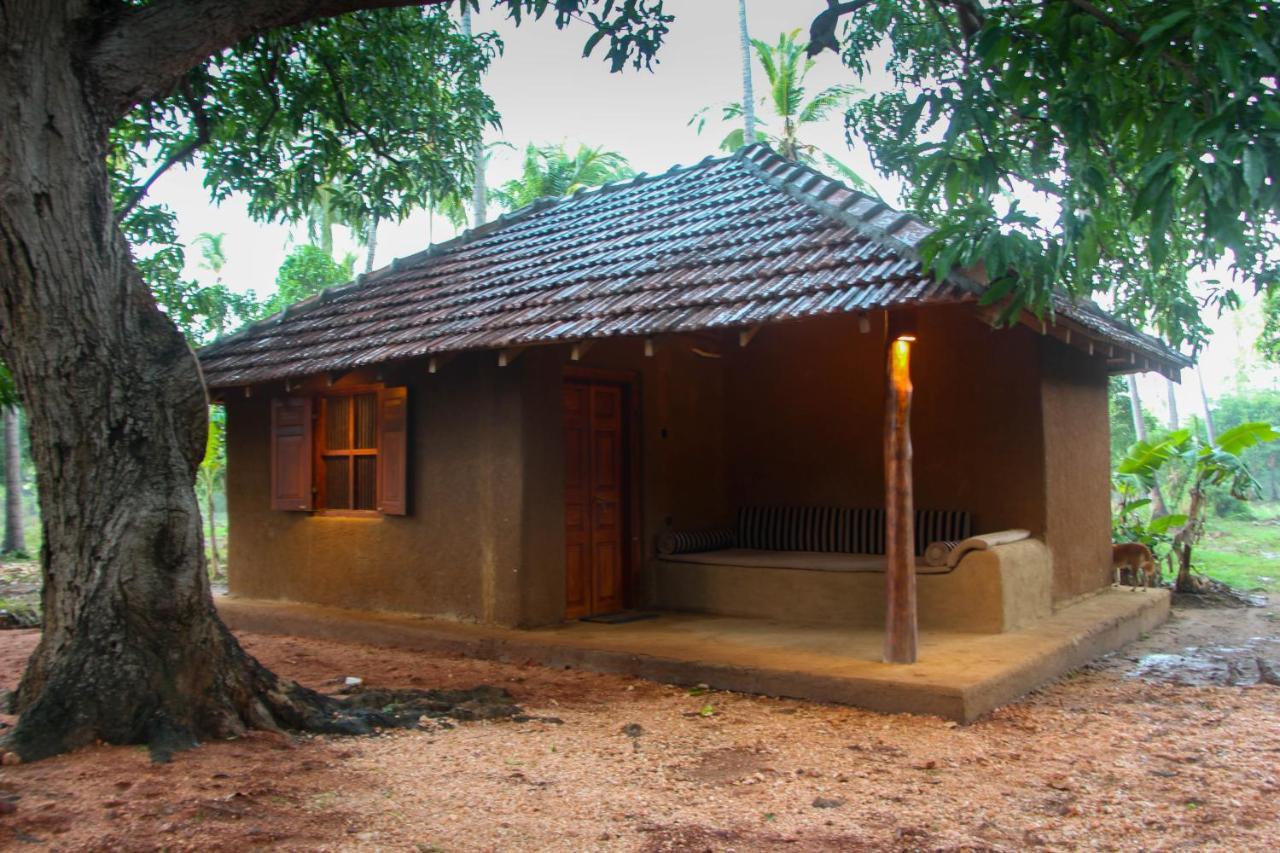 Eco Village Kalundewa ดัมบูลลา ภายนอก รูปภาพ